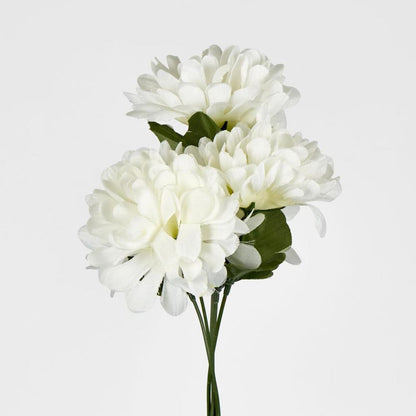 Chrysanthemum Bush Sold In Box Qty Only