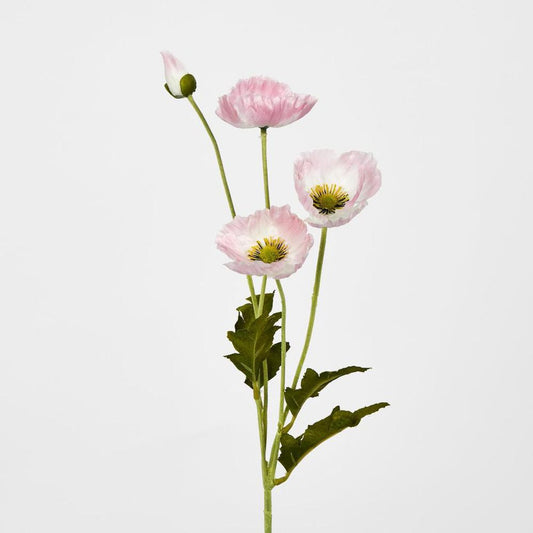 Pink Poppy Spray 3 Flowers 1 Bud