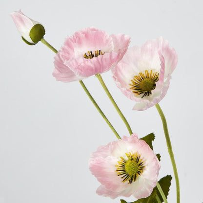 Pink Poppy Spray 3 Flowers 1 Bud