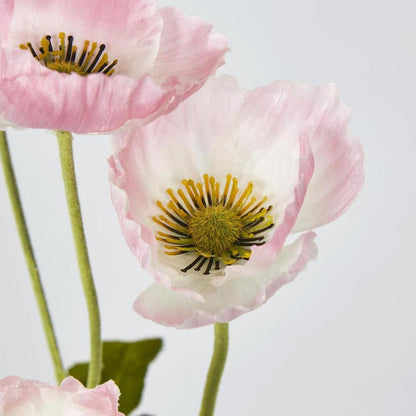 Pink Poppy Spray 3 Flowers 1 Bud