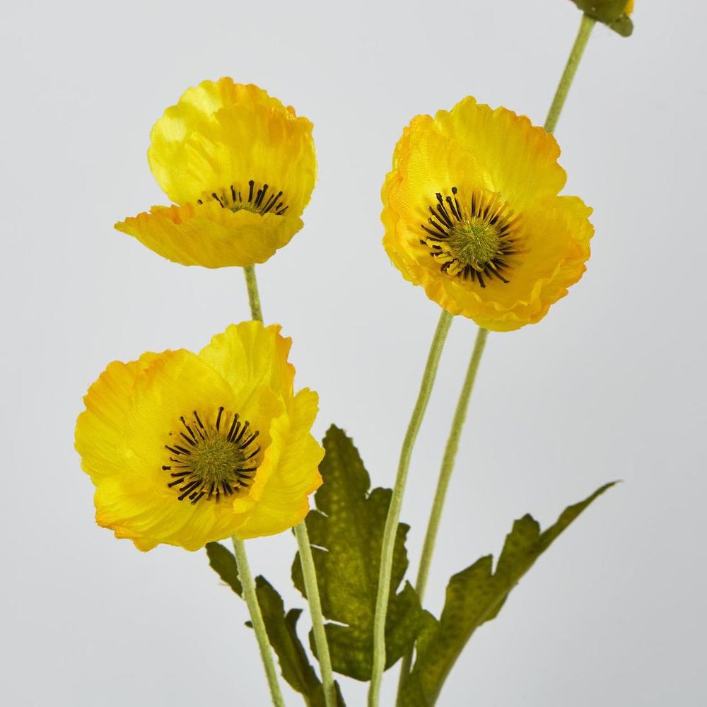 Yellow Poppy Spray 3 Flowers 1 Bud