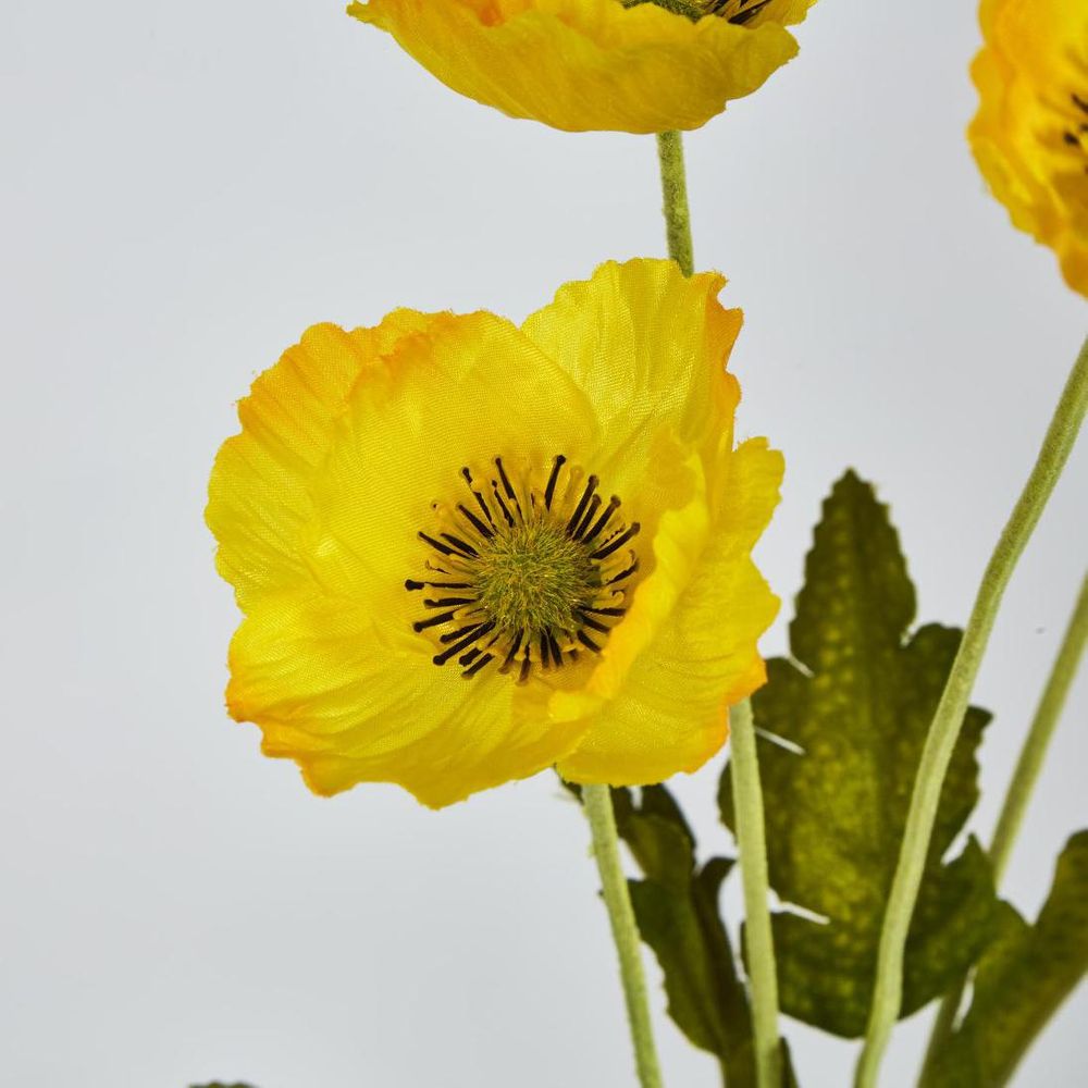 Yellow Poppy Spray 3 Flowers 1 Bud