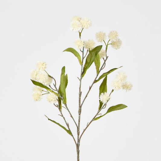White Burdock Spray