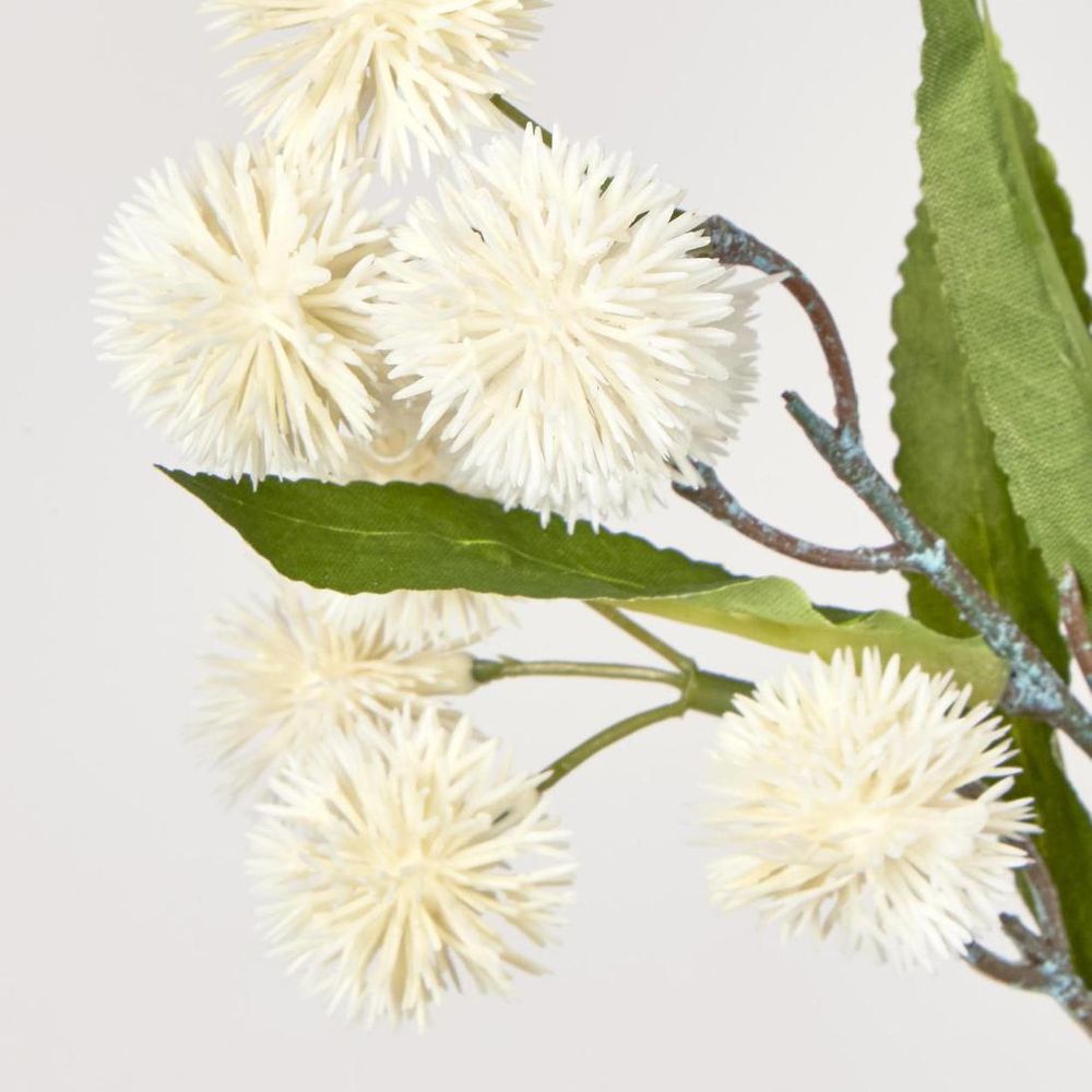 White Burdock Spray