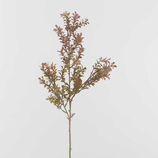 Peach Boxwood Spray