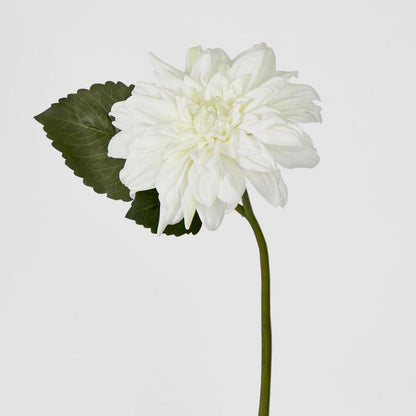 Dahlia 28Cm White