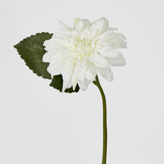 Dahlia 28Cm White