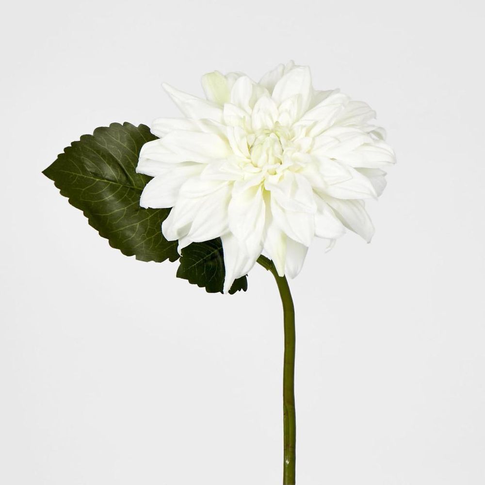 Dahlia 28Cm White