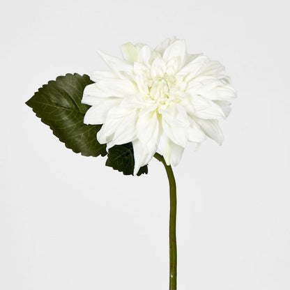 Dahlia 28Cm White