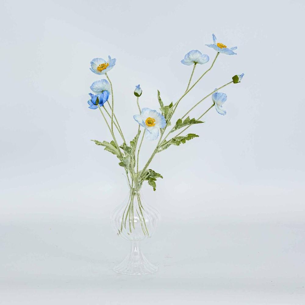 Poppy Spray Light Blue