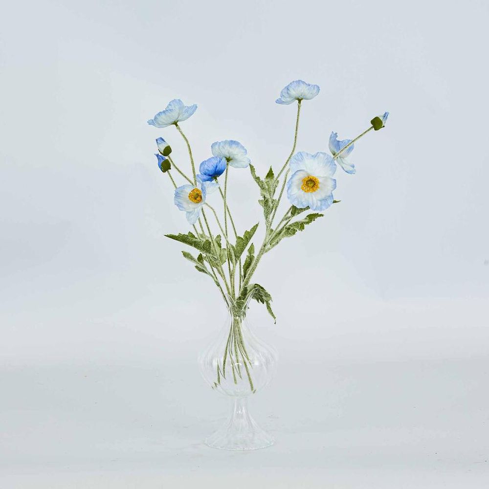 Poppy Spray Light Blue