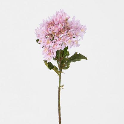 Agapanthus Stem Lilac