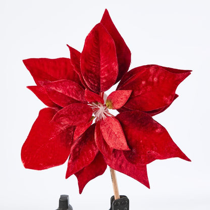 Luxe Velvet Poinsettia Clip On W. Light Up Stamen Red