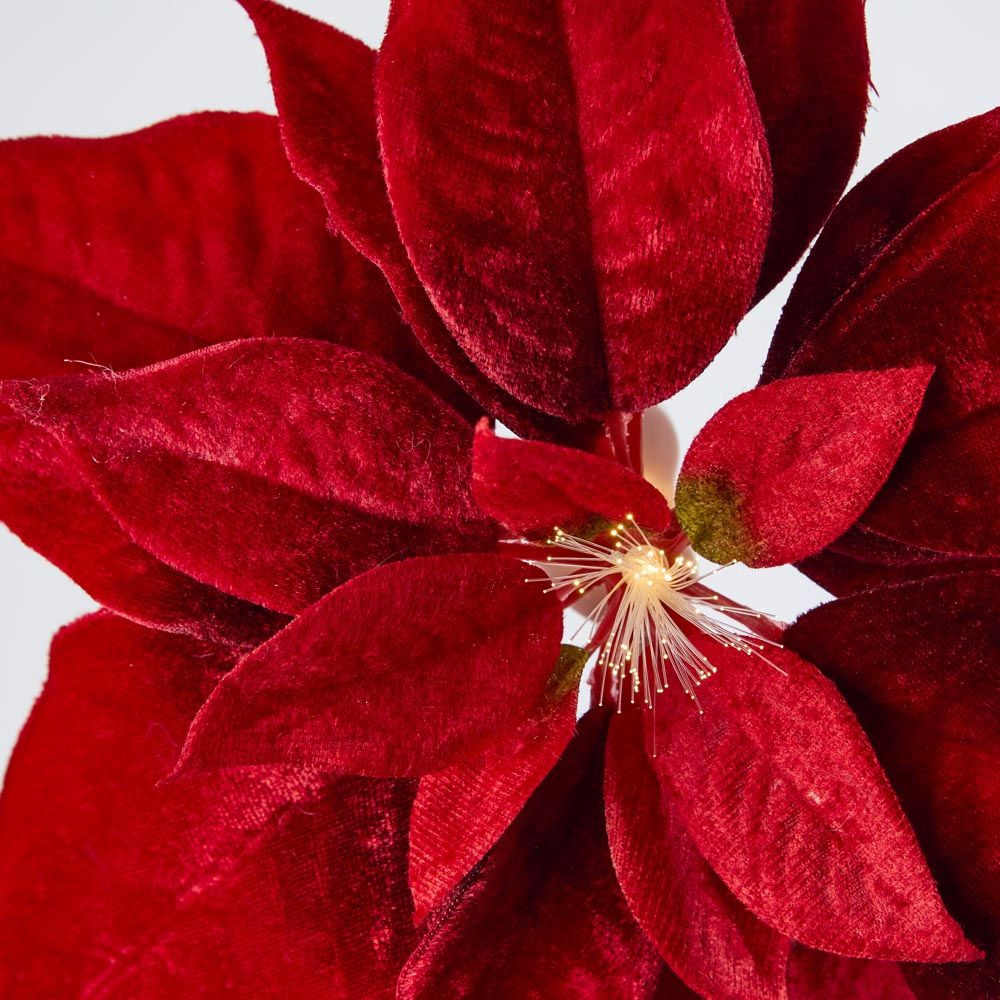 Luxe Velvet Poinsettia Clip On W. Light Up Stamen Red
