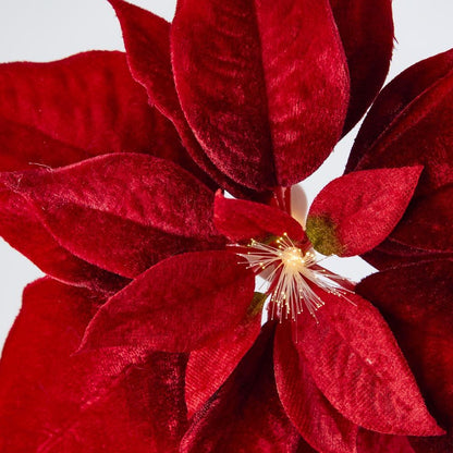 Luxe Velvet Poinsettia Clip On W. Light Up Stamen Red