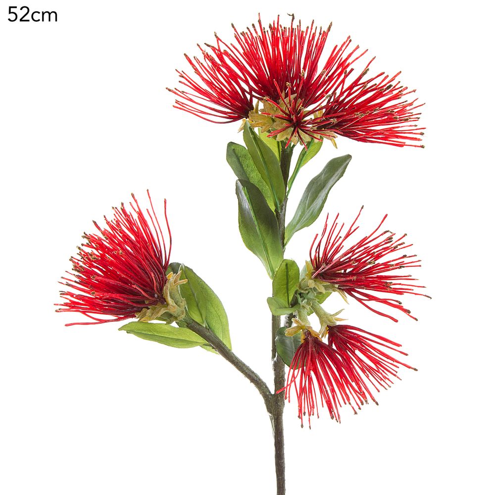 Protea Leucospermum 52Cm Red