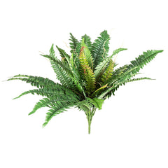 Boston Fern Bush Large 56Cm