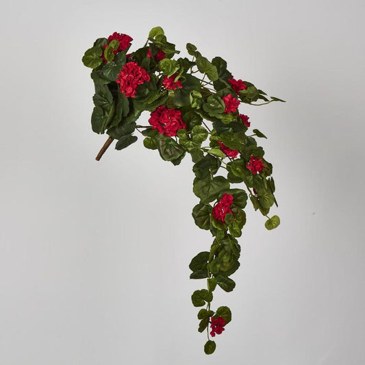 Red Hanging Geranium Bush X 9
