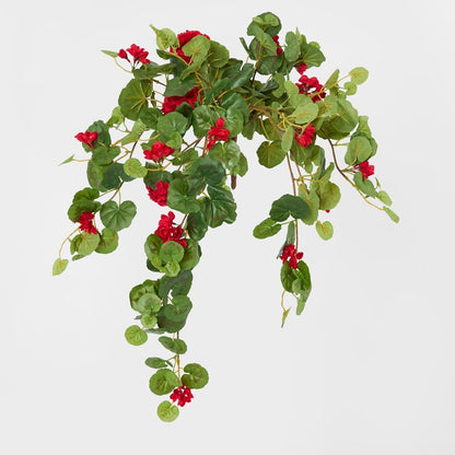 Red Hanging Geranium Bush X 9