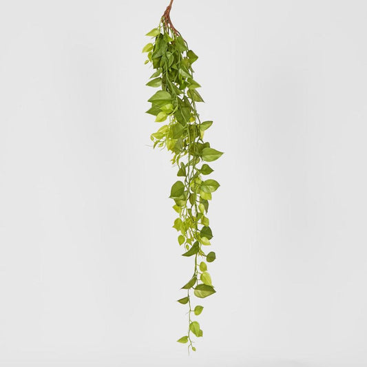 101Cm Hanging Green Philo