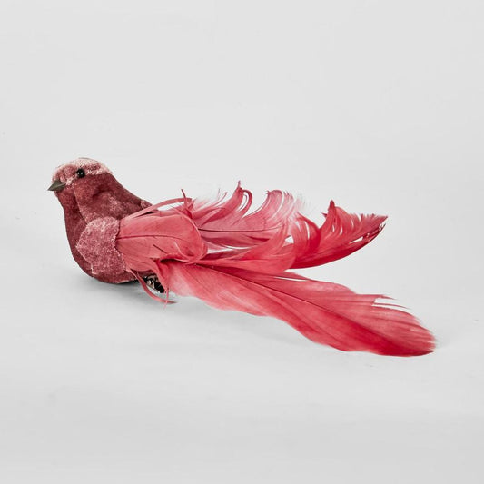 Delicia Clip On Bird Fuchsia (Set Of 6)
