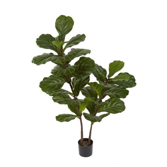 Fiddle Leaf Tree 1.13M