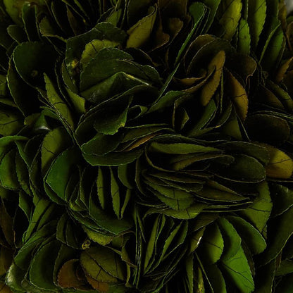 陶罐保存的冬青球