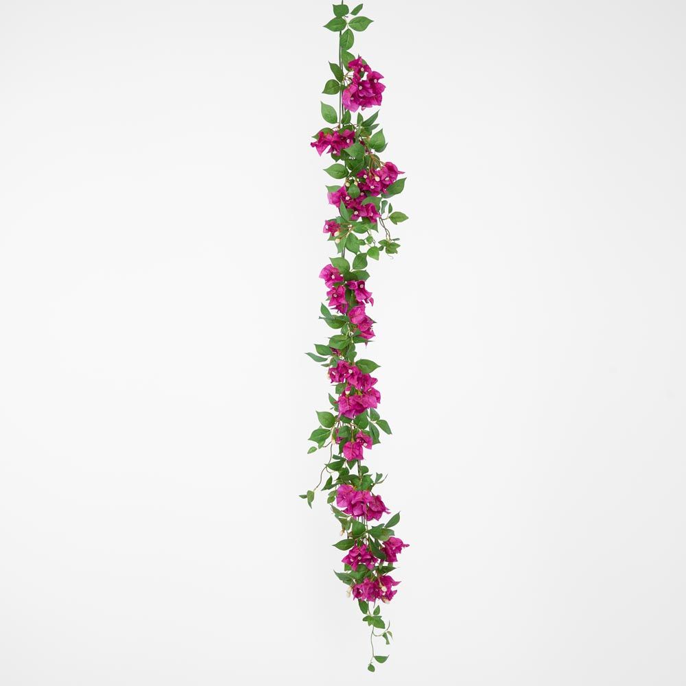 九重葛花环紫色
