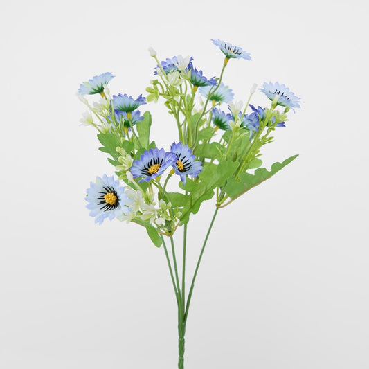 雏菊束蓝色