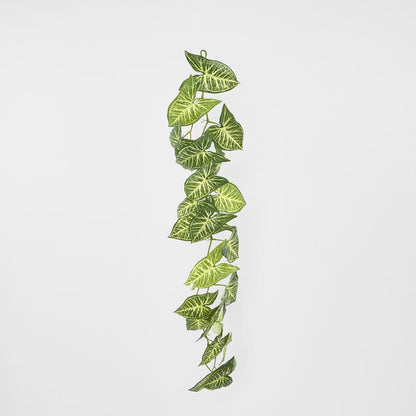 杂色芋头叶花环