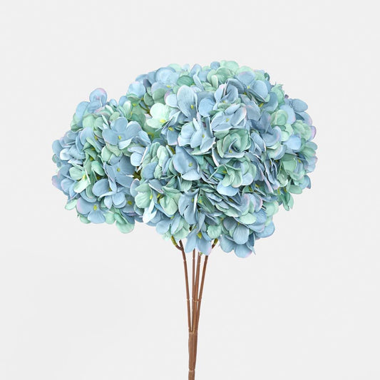 绣球花丛深蓝色