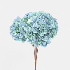 绣球花丛深蓝色