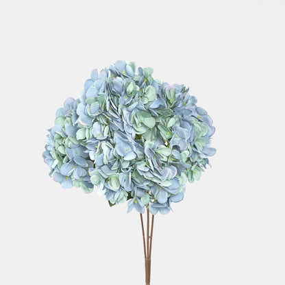 绣球花丛深蓝色
