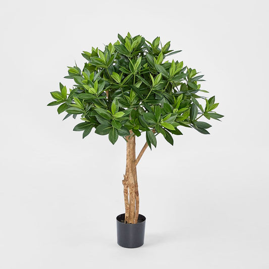 Sweet Link Tree 90Cm