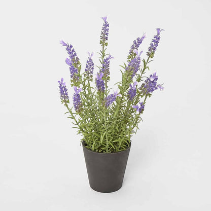 Potted Lavender 42Cm