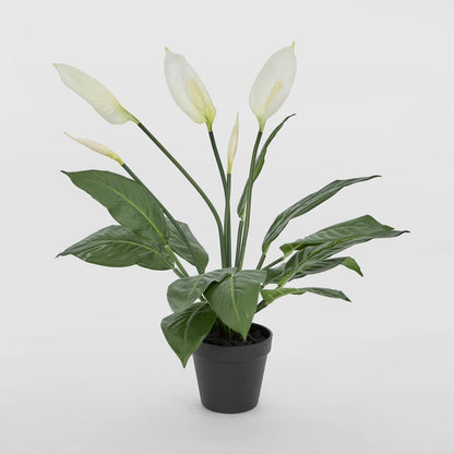 Real Touch Potted Spathiphyllum 61Cm