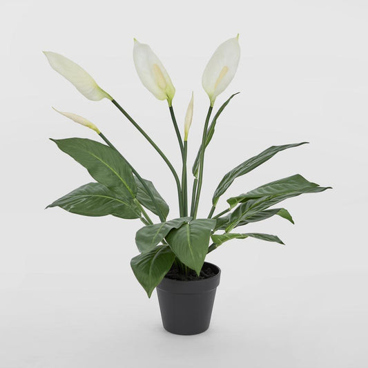 Real Touch Potted Spathiphyllum 61Cm