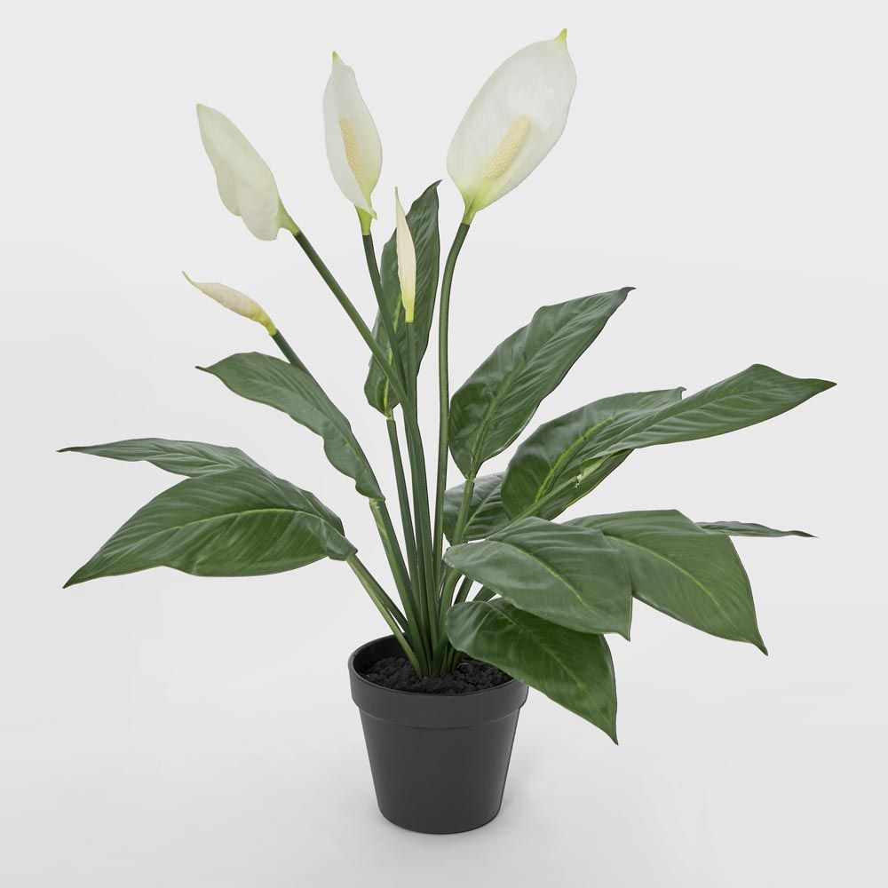 Real Touch Potted Spathiphyllum 61Cm