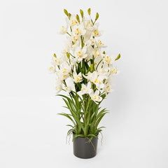 Real Touch Potted Cymbidium 90Cm