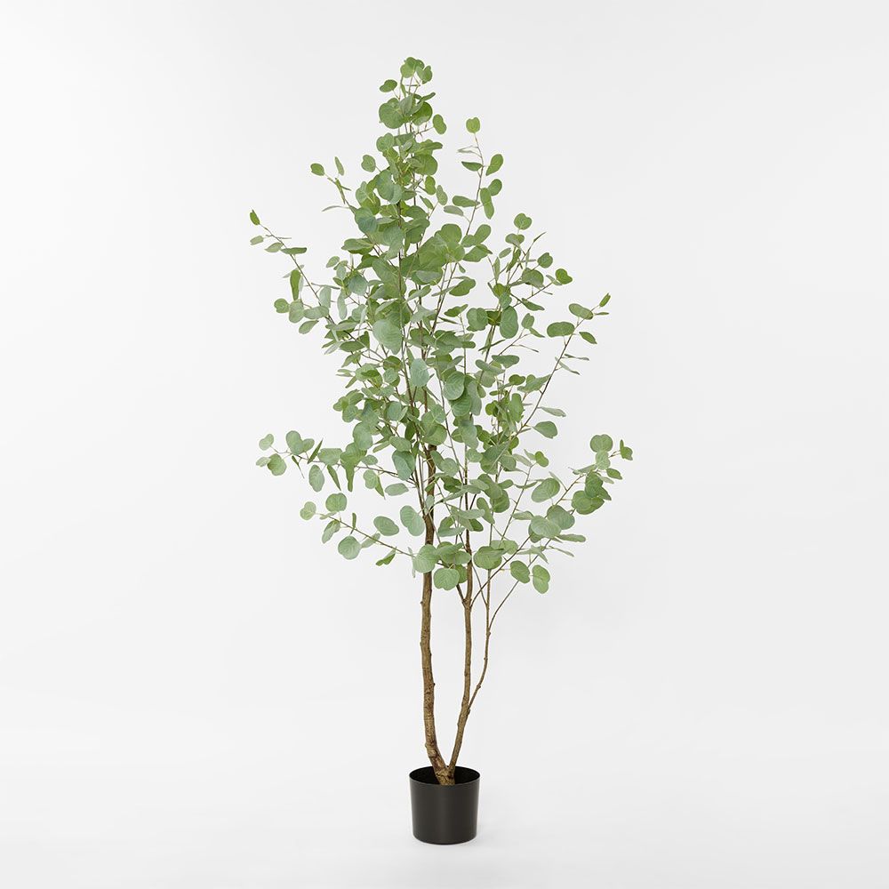 Real Touch Eucalyptus 200Cm