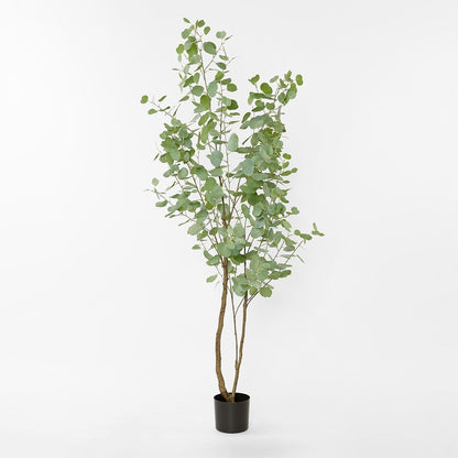 Real Touch Eucalyptus 200Cm