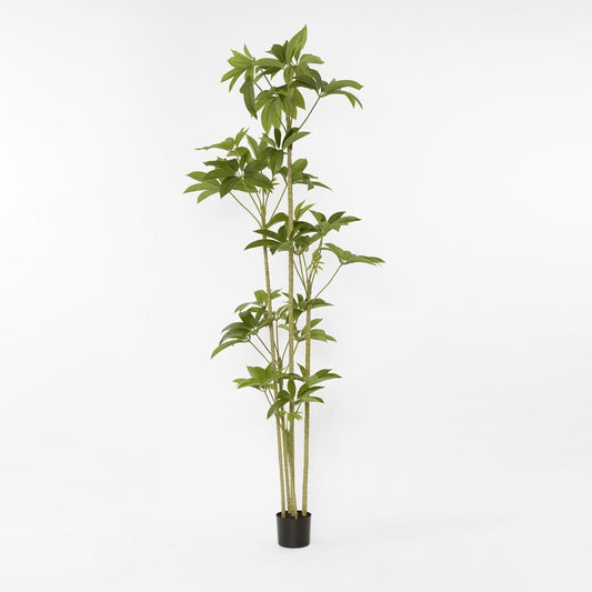 Real Touch Frangipani Tree 210Cm