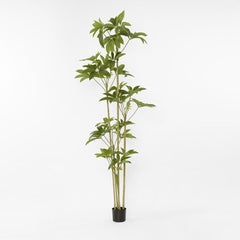 Real Touch Frangipani Tree 210Cm