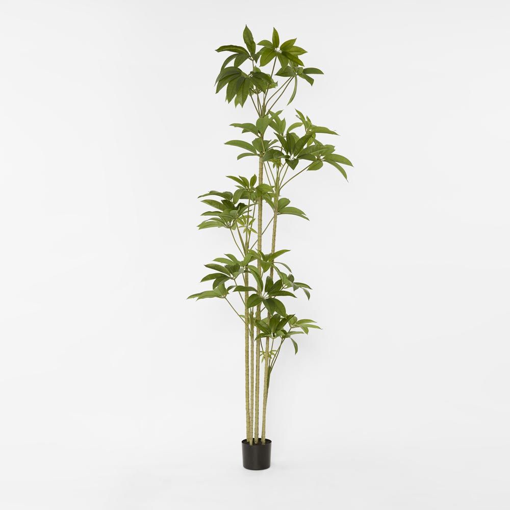 Real Touch Frangipani Tree 210Cm