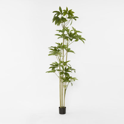 Real Touch Frangipani Tree 210Cm