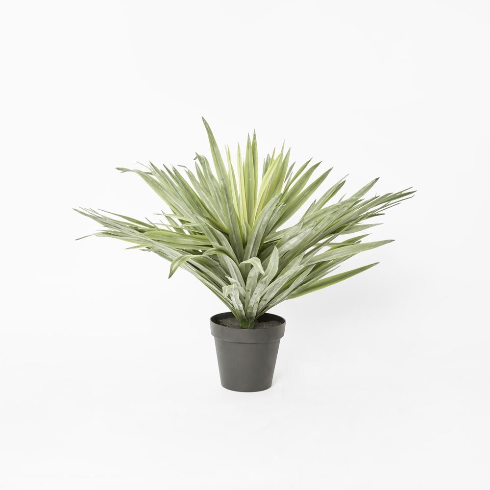 Soft Touch Potted Sisal Plant 68Cm
