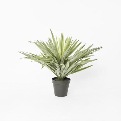 Soft Touch Potted Sisal Plant 68Cm