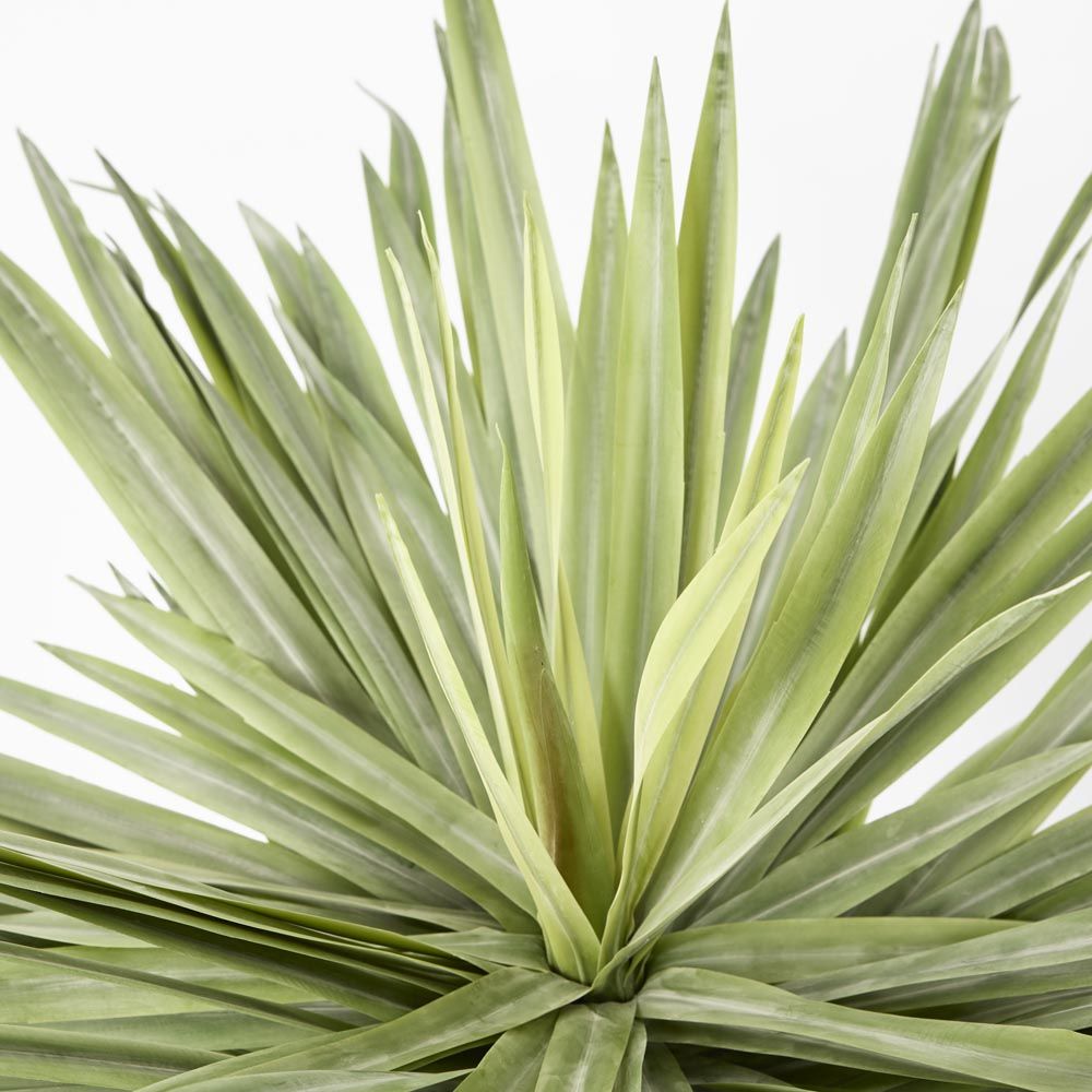 Soft Touch Potted Sisal Plant 68Cm
