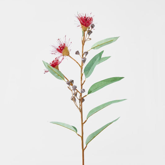 开花胶深红色