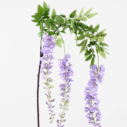 Lavender Wisteria By 3